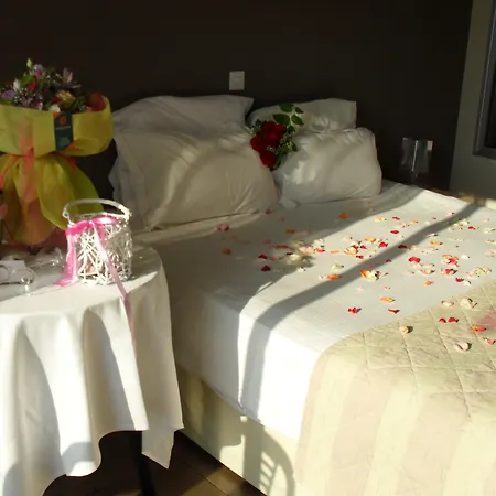 Napa Mermaid & 호텔